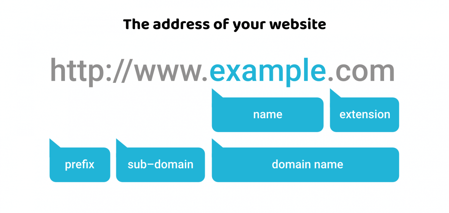 domain (1)